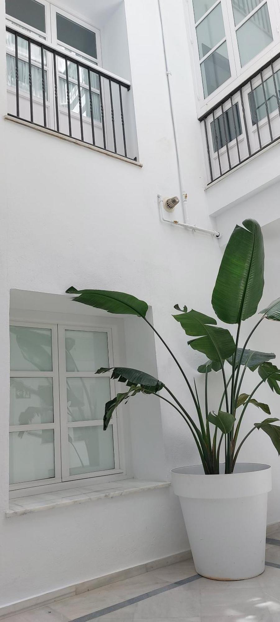 Apartament El 2 De Flamenco Bajob Kadyks Zewnętrze zdjęcie